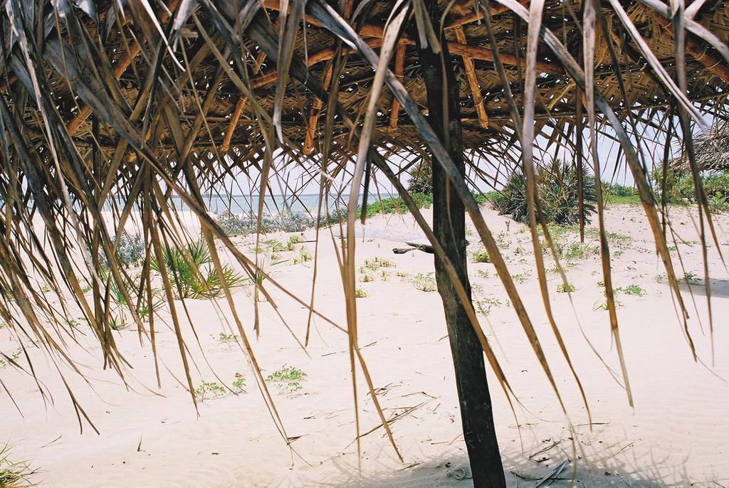 Kizingo Lamu Exterior photo